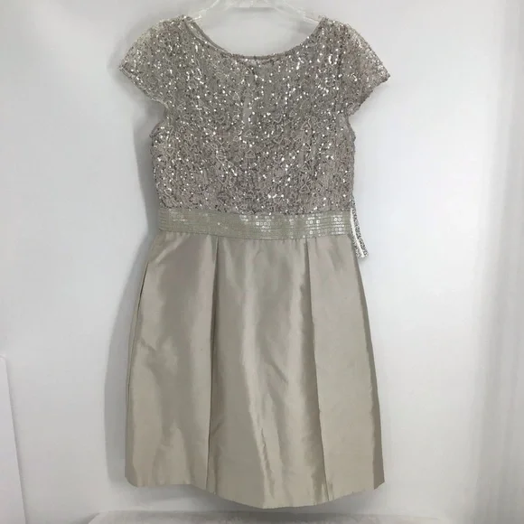 Kay Unger NWT Moir Lace Sequin Lace Wedding Formal Party Dress Silver Size 10 - Picture 2 of 13